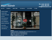 Tablet Screenshot of bilisimasansor.com